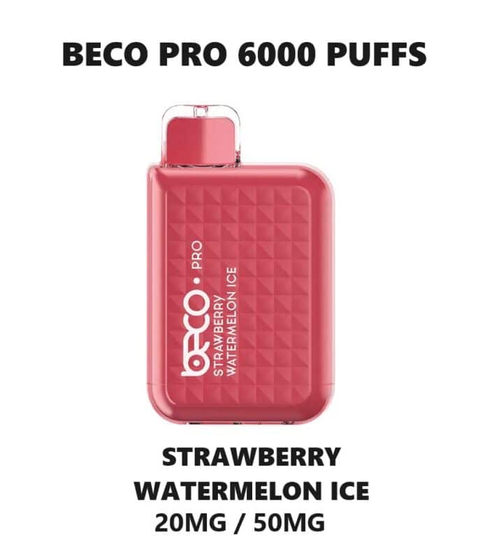 BECO Pro 6000 puffs disposable vape in dubai uae