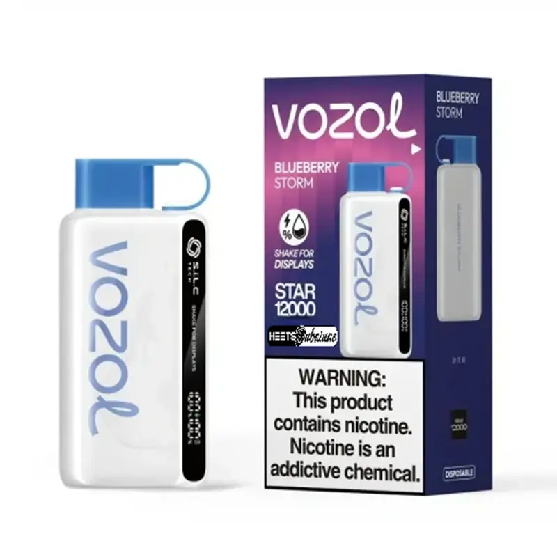 1729113856_BLUEBERRYSTORM-Photoroom_1024x1024402x-510x510 (1) Vozol Star 12000 Puffs Disposable Vape