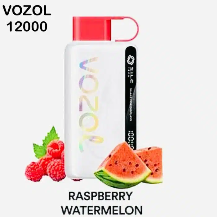 Vozol Star 12000 Puffs Disposable Vape