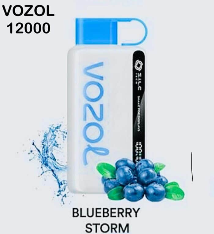 Vozol Star 12000 Puffs Disposable Vape