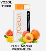 Vozol Star 12000 Puffs Disposable Vape