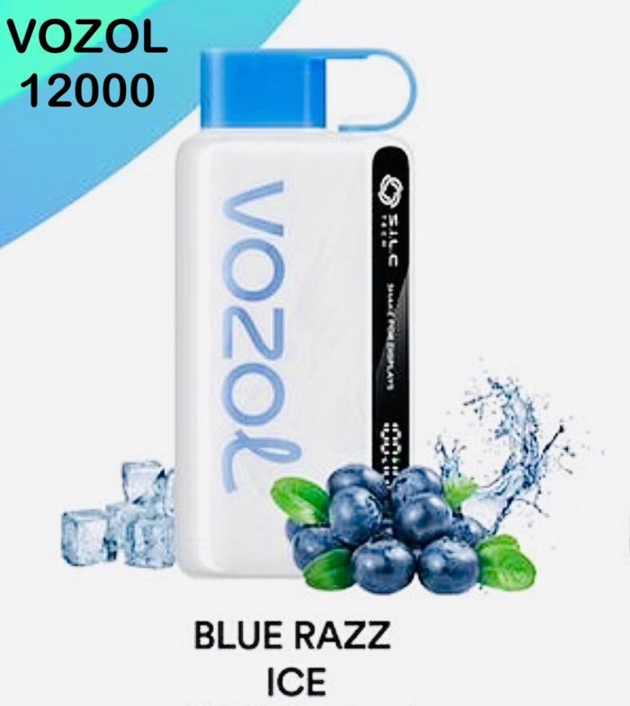 Vozol Star 12000 Puffs Disposable Vape