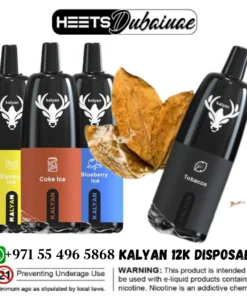 Kalyan 12000 Puffs Disposable