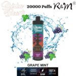 R&M Shisha Beast 20000 Puffs Disposable Vape Device in Dubai UAE