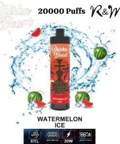 R&M Shisha Beast 20000 Puffs Disposable Vape Device in Dubai UAE