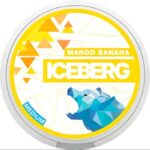 ICEBERG Nicotine Pouches in Dubai UAE