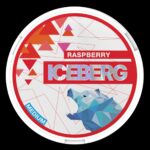 ICEBERG Nicotine Pouches in Dubai UAE