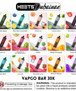 Vapgo Bar 30000 Puffs Chill Shisha Disposable Vape