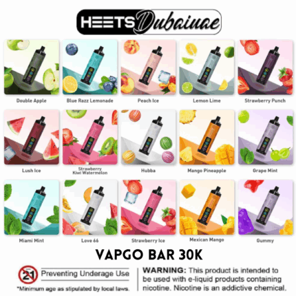 Vapgo Bar 30000 Puffs Chill Shisha Disposable Vape