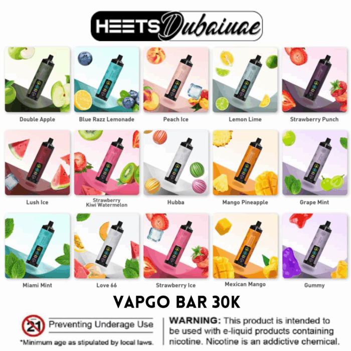 Vapgo Bar 30000 Puffs Chill Shisha Disposable Vape