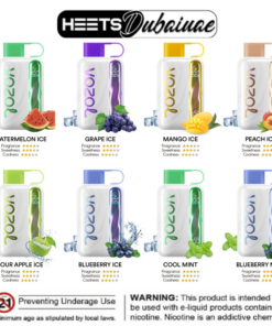 Vozol Star 40000 Puffs Disposable Vape | 5% Nicotine Vape in Dubai UAE