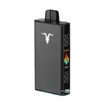 IGNITE V250 25000 Puffs 50mg Rechargeable Disposable Vape