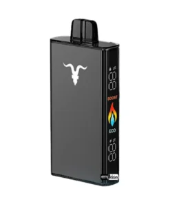 IGNITE V250 25000 Puffs 50mg Rechargeable Disposable Vape