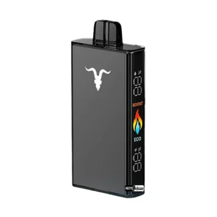 IGNITE V250 25000 Puffs 50mg Rechargeable Disposable Vape