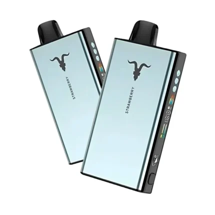 Ignate ice 40000 puffs 50mg Disposable Vape