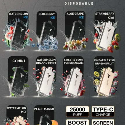 IGNITE V250 25000 Puffs 50mg Rechargeable Disposable Vape