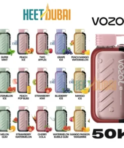 Vozol Gear 50000 Puffs 50mg Disposable Vape(Ice & Sweet Version)